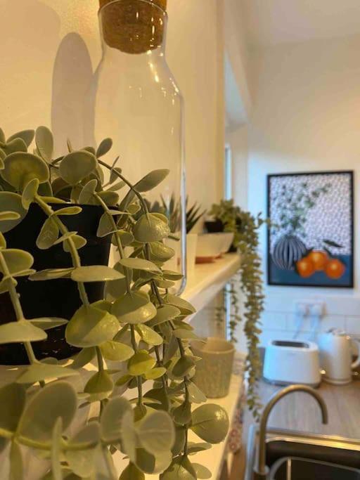 Garden Apartment, Central Harrogate With Parking Extérieur photo