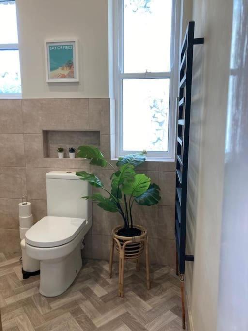 Garden Apartment, Central Harrogate With Parking Extérieur photo